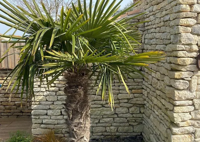 Charming House - Village Holiday home